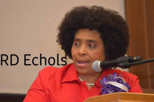 FB IMG 16774601154342