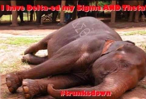 FB IMG 1705269209513