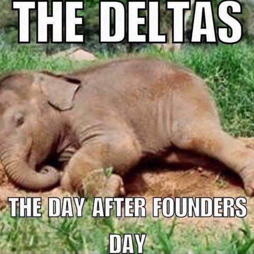 FB IMG 1705281822655