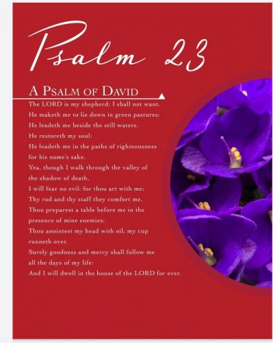 Screenshot 20220519-171211 Drive