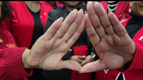 Screenshot 20240220-131945 Photos